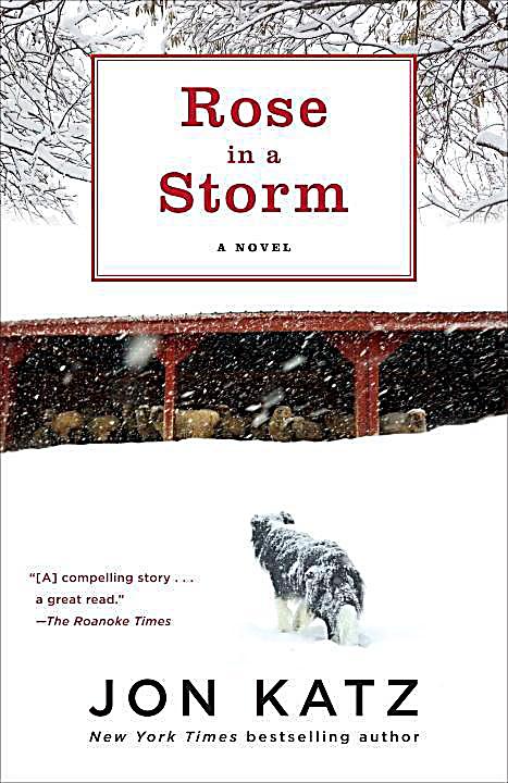 Villard: Rose in a Storm