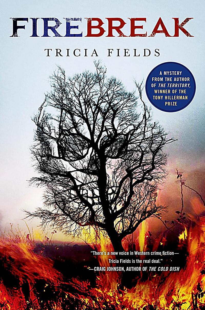 Josie Gray Mysteries: 4 Firebreak