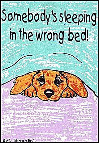 Somebody's Sleeping in the Wrong Bed