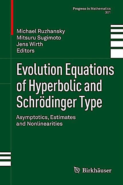 Evolution Equations of Hyperbolic and Schrödinger Type