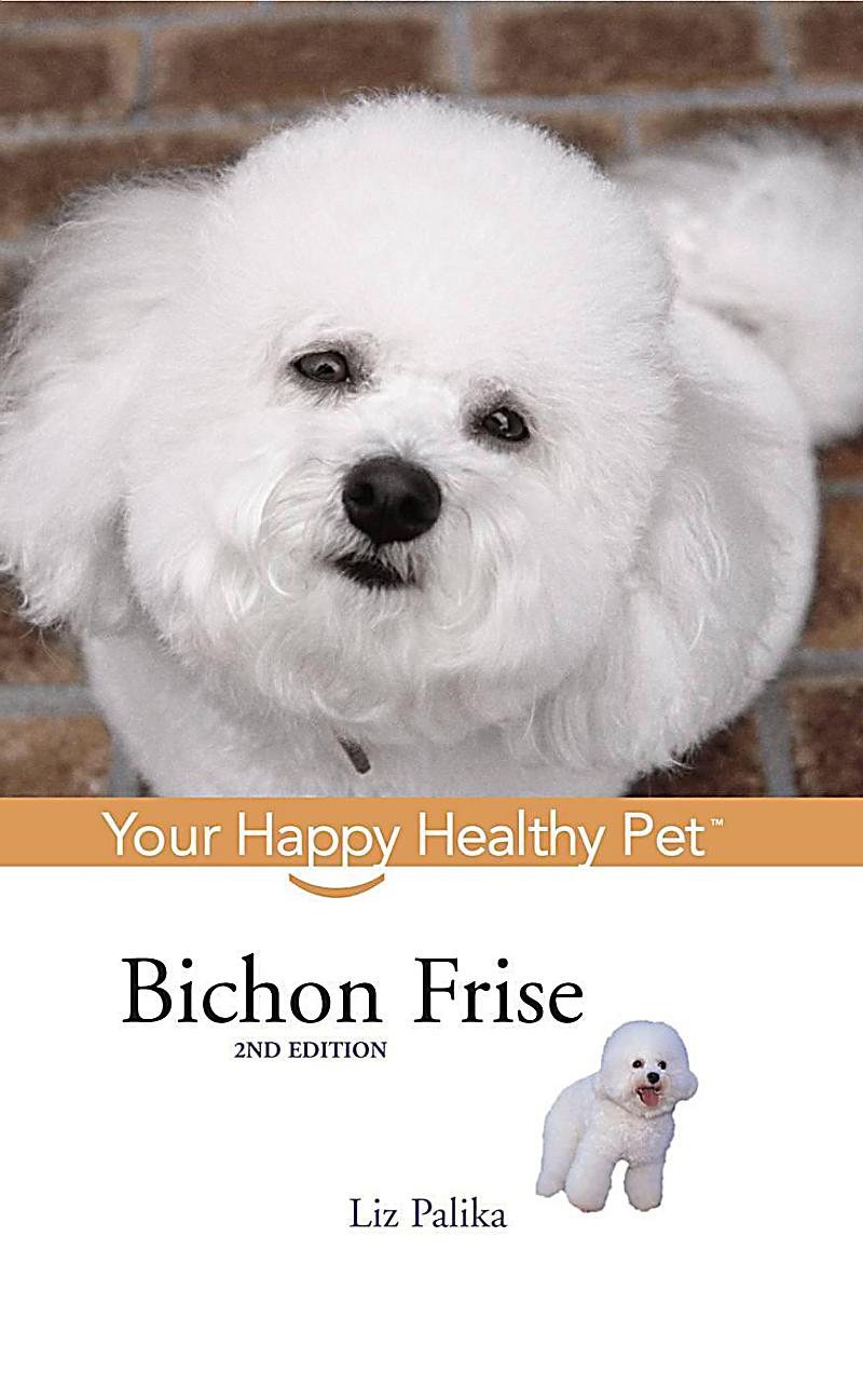 Your Happy Healthy P: 33 Bichon Frise