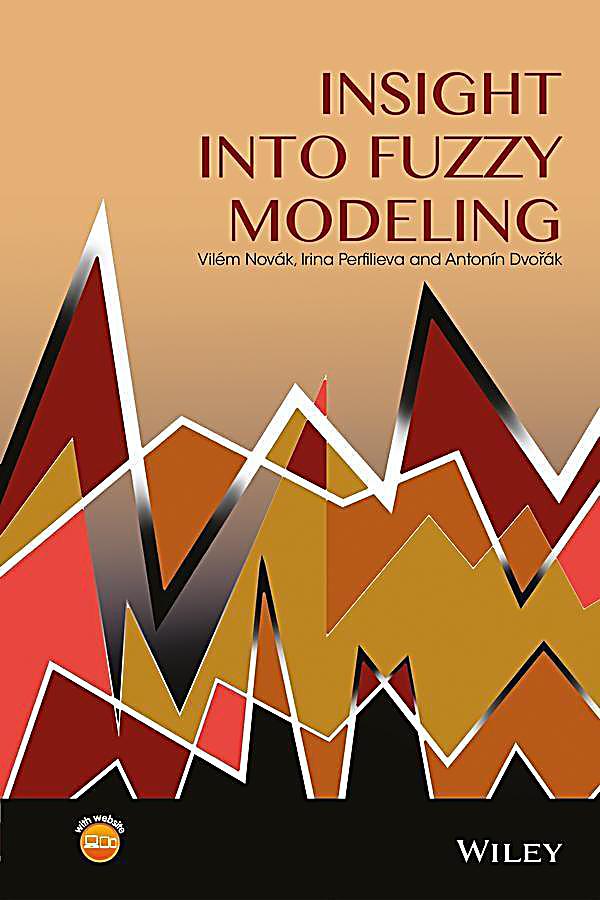 Insight into Fuzzy Modeling