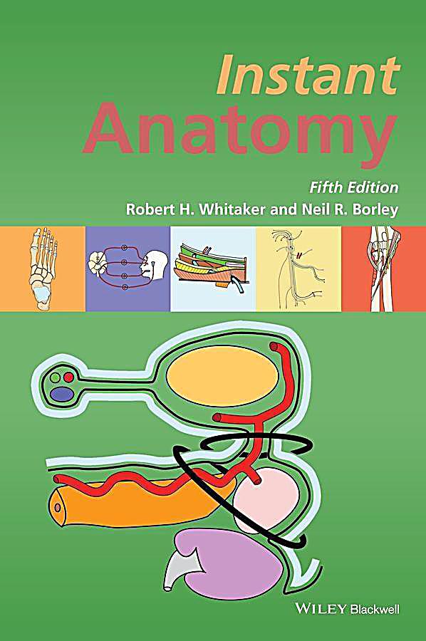 Instant Anatomy