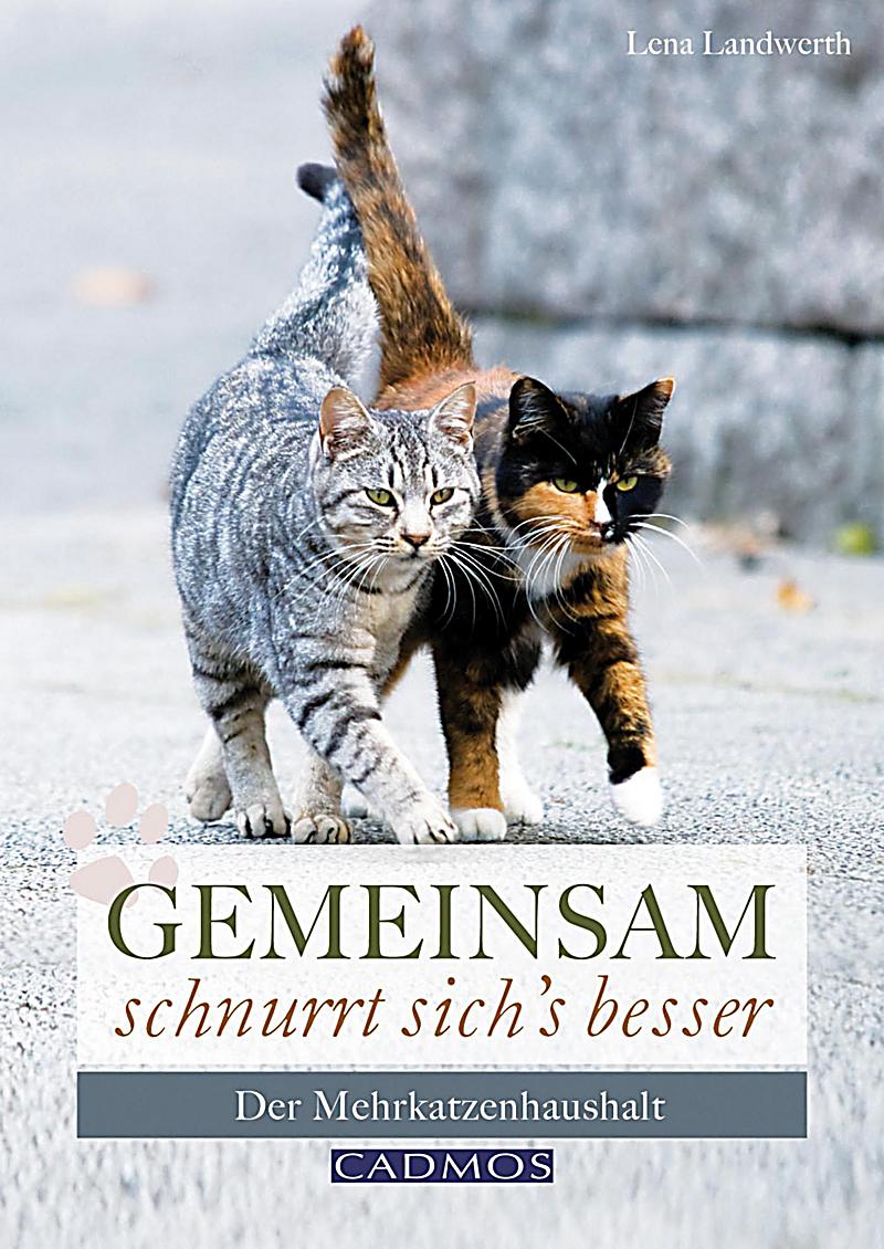 Heimtiere: Gemeinsam schnurrt sich's besser