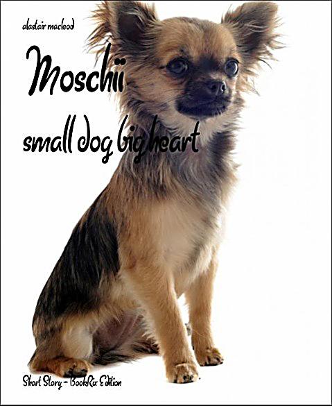 Moschii