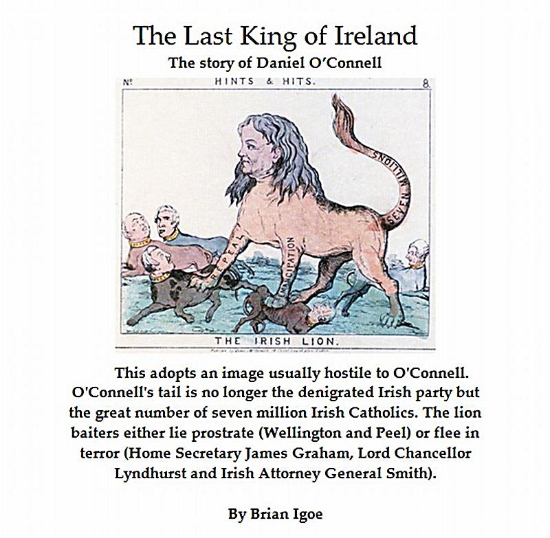 The Last King of Ireland