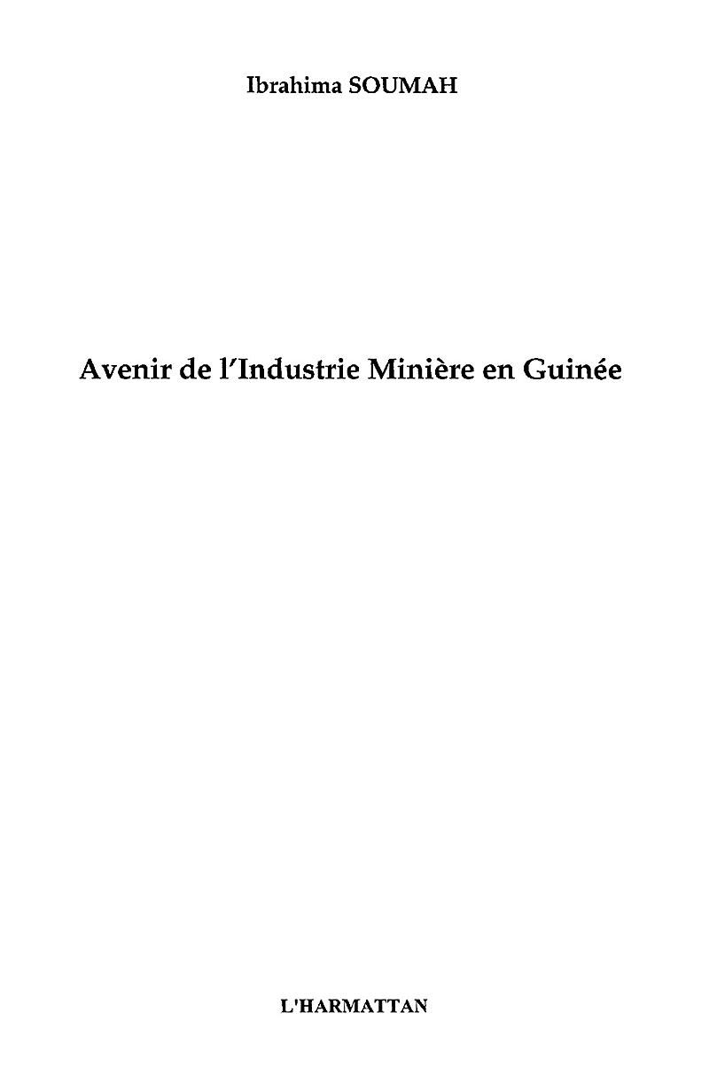 Avenir de l´industrie miniereen guinee