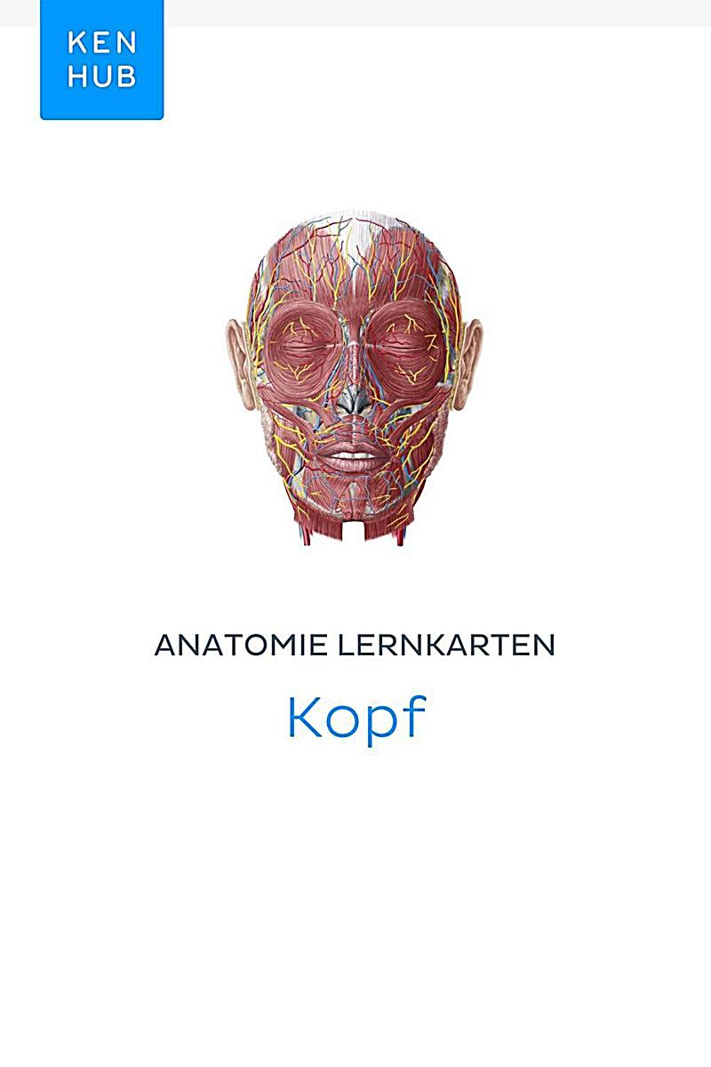 Kenhub Lernkarten: 23 Anatomie Lernkarten: Kopf