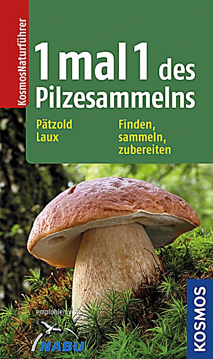 download proportionalität und prozentrechnung in der sekundarstufe i: empirische untersuchung