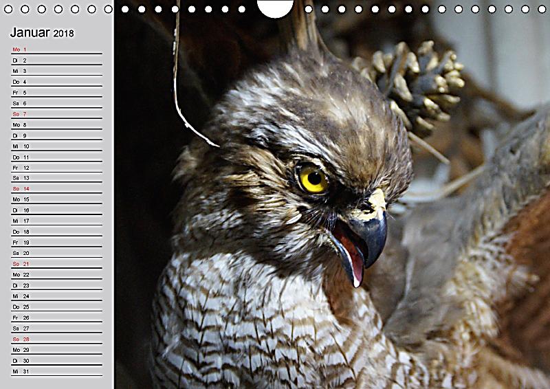 adler kalender adler kalender