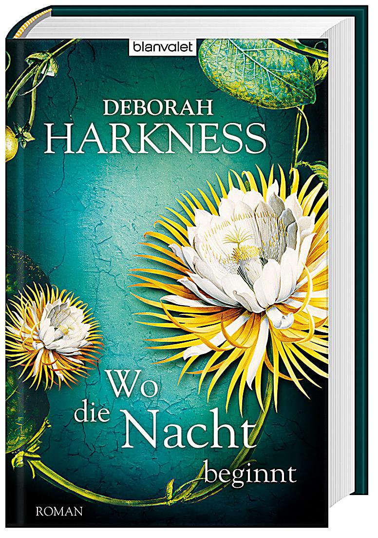 romeo und julia das buch romeo und julia das buch