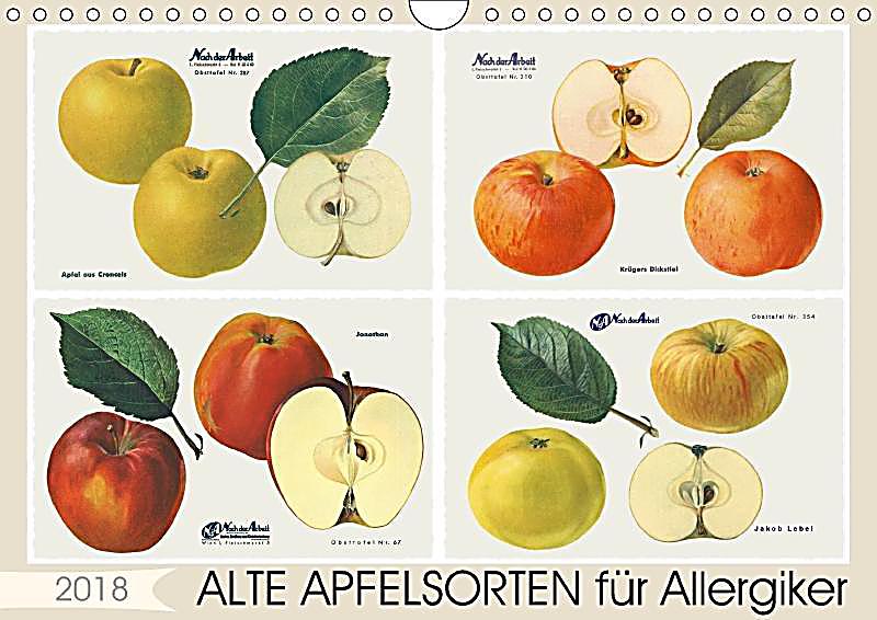 Alte Apfelsorten Allergiker
