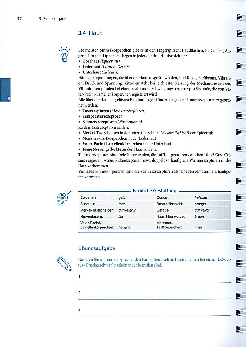 fundamentals of carbanion chemistry