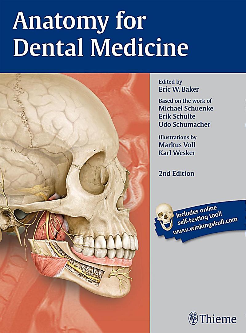 anatomy for dental medicine buch portofrei bei weltbild de anatomy for dental medicine buch portofrei bei weltbild de