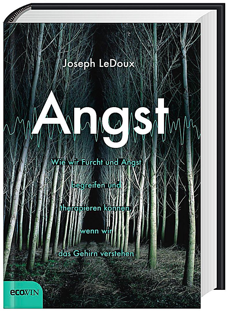 Angst: Wie wir Furcht und Angst begreifen und therapieren können, wenn wir das Gehirn verstehen