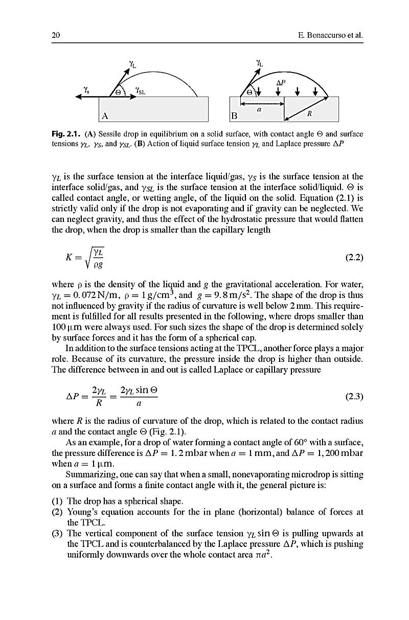 risc v external