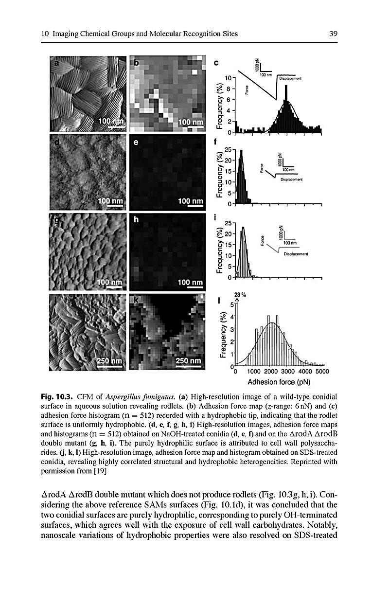 pdf handbuch der experimentellen pharmakologie achter band