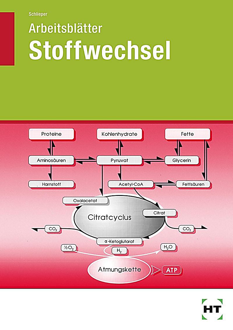 pdf hormone