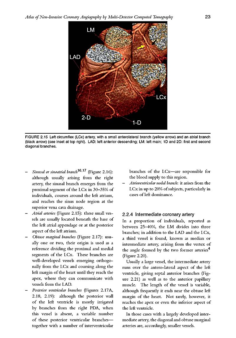 PDF FEED EFFICIENCY IN