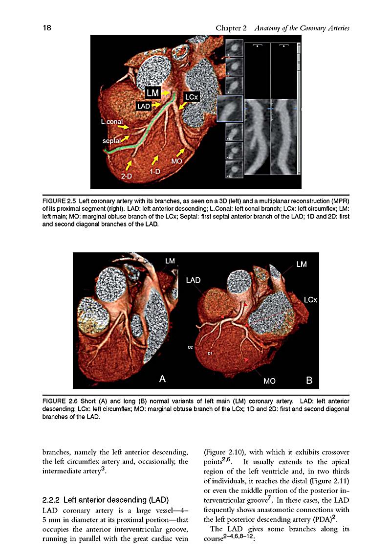 unexplained infertility pathophysiology evaluation and treatment