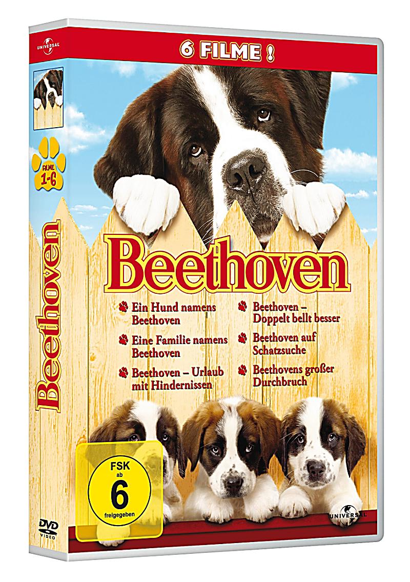 Eine Familie Namens Beethoven Eine Familie Namens Beethoven