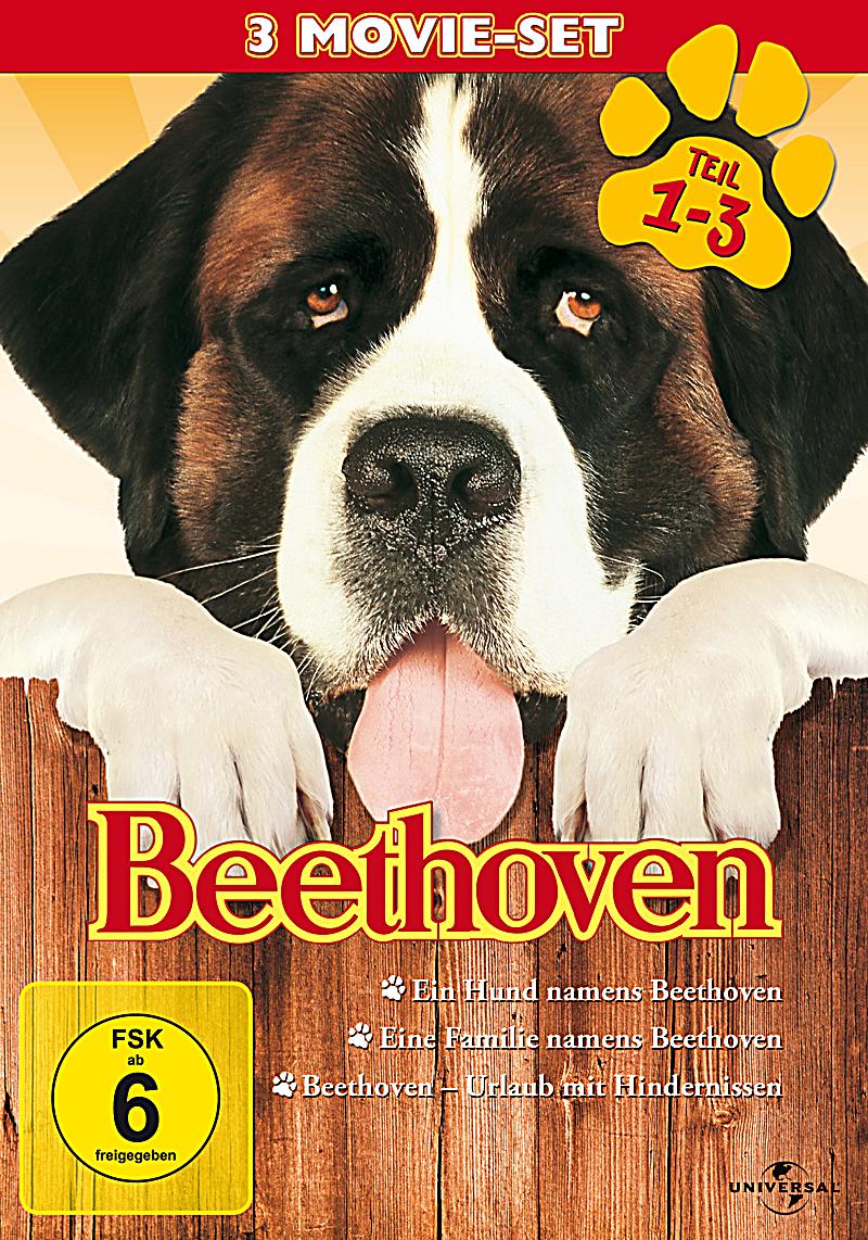 Eine Familie Namens Beethoven Eine Familie Namens Beethoven