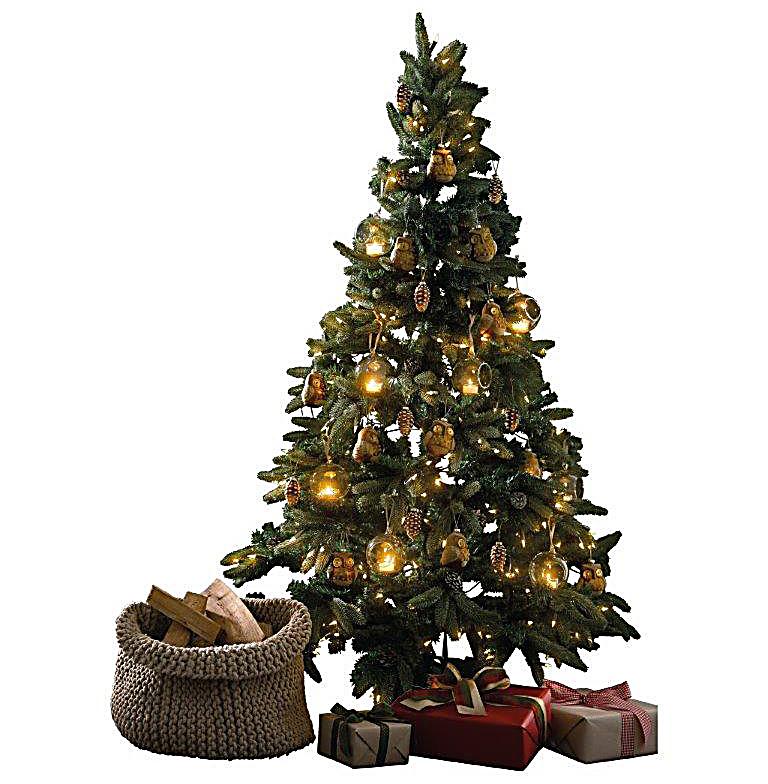 beleuchteter tannenbaum zapfen und schnee bestellen beleuchteter tannenbaum zapfen und schnee bestellen