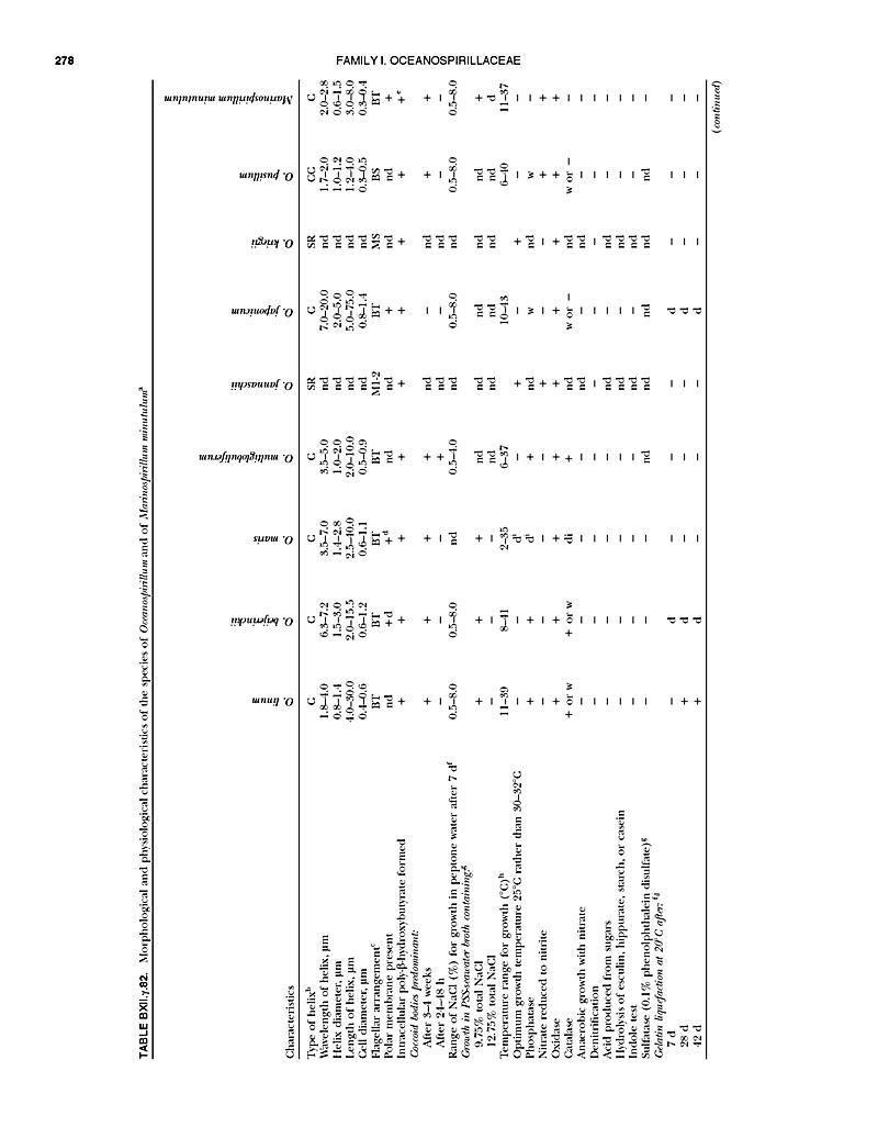 Bergeys Manual Chart