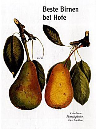 kostenlose geschichten lesen beste stellung kostenlose geschichten lesen beste stellung