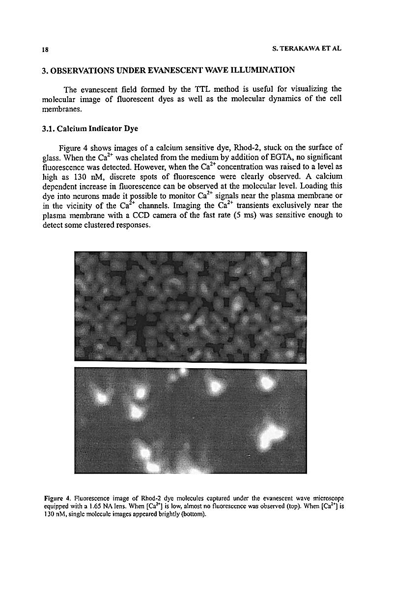 download chemical mutagens