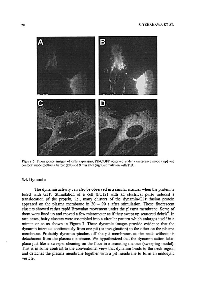 download transport phenomena