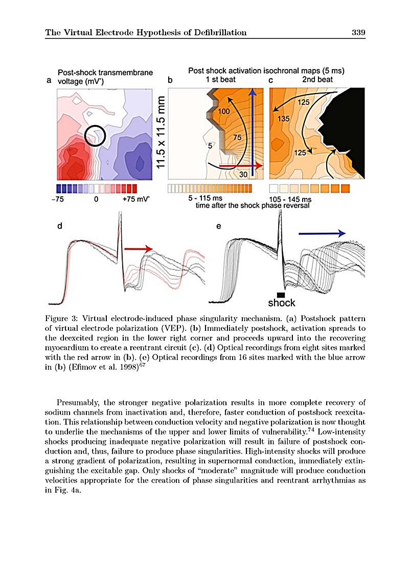 shop spectral graph drawing a