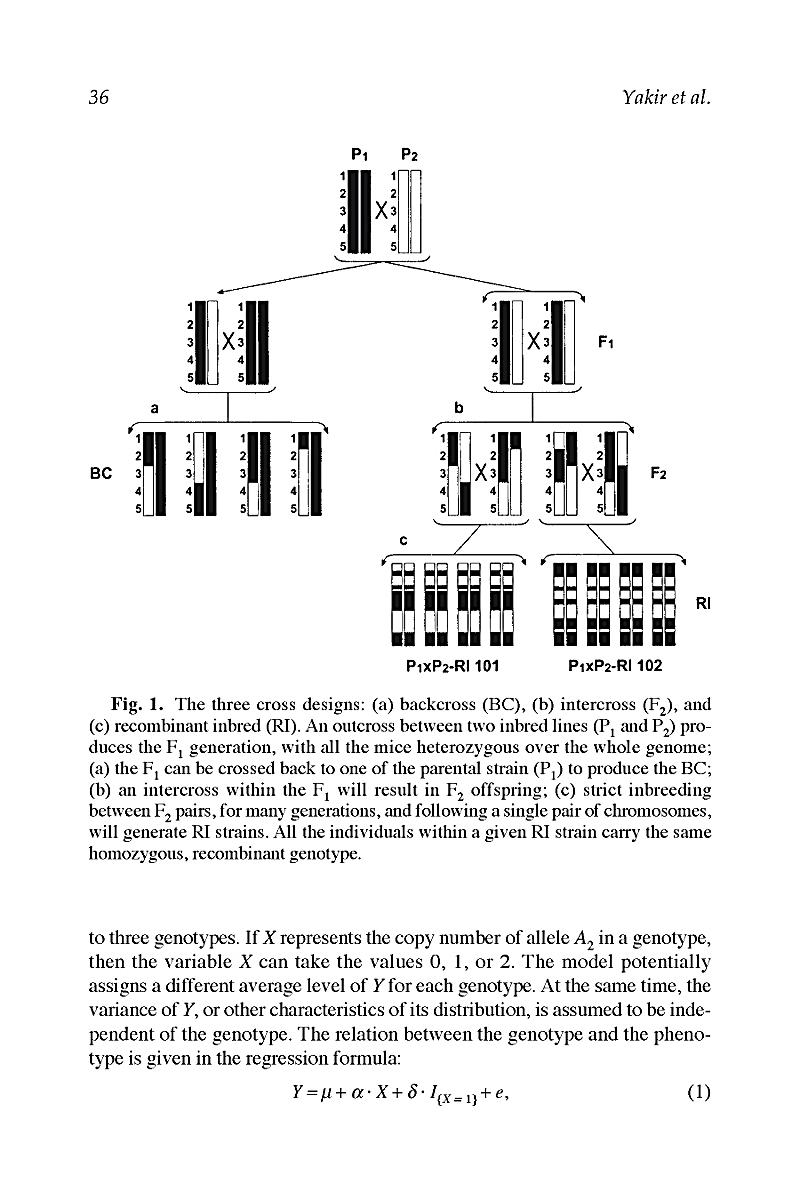 download Defending Hypatia: