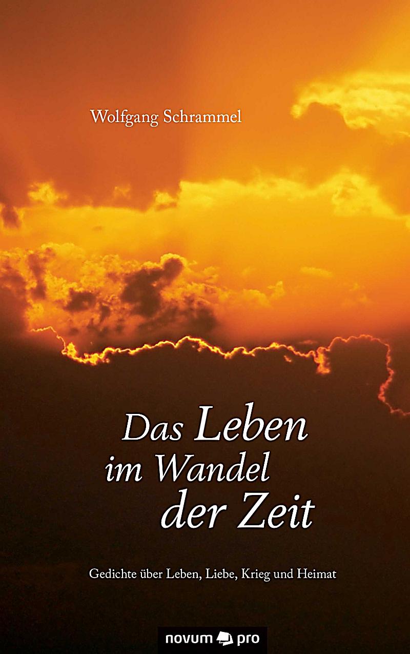 ebook handbuch stress und kultur