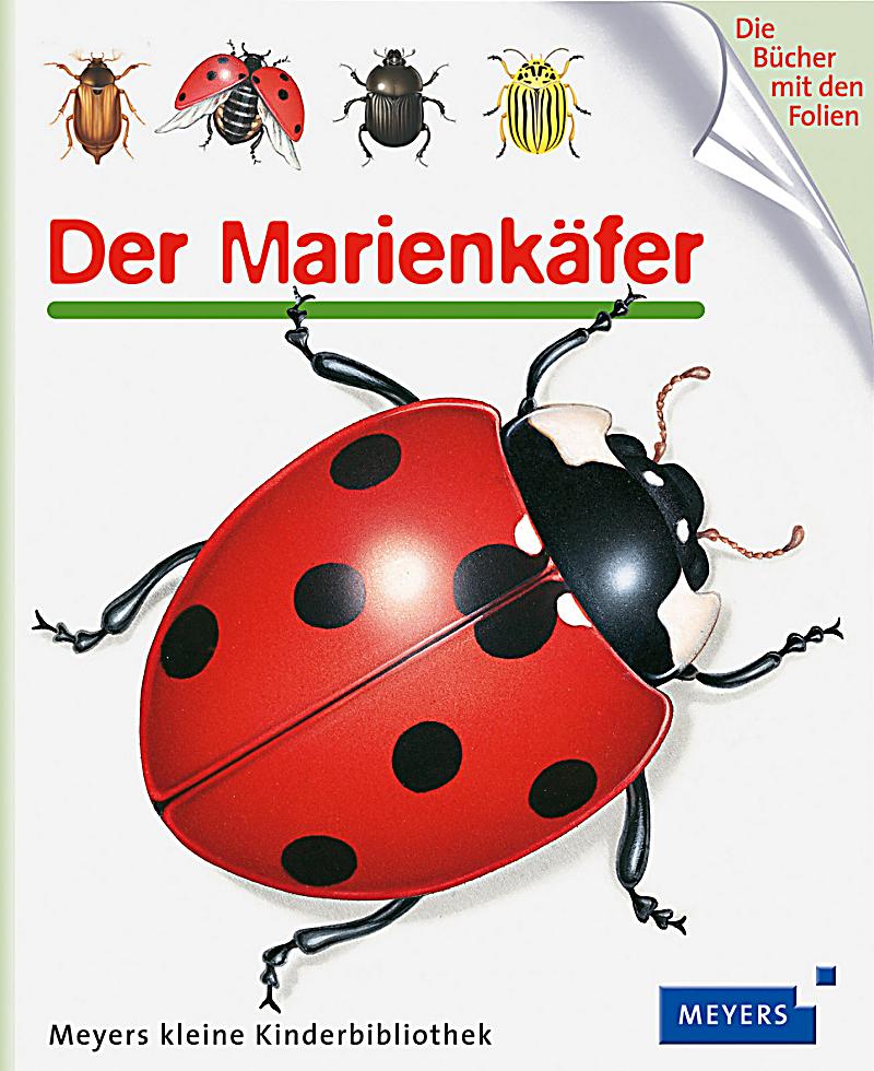 Das Bleichen der Haut vom Milchacidum