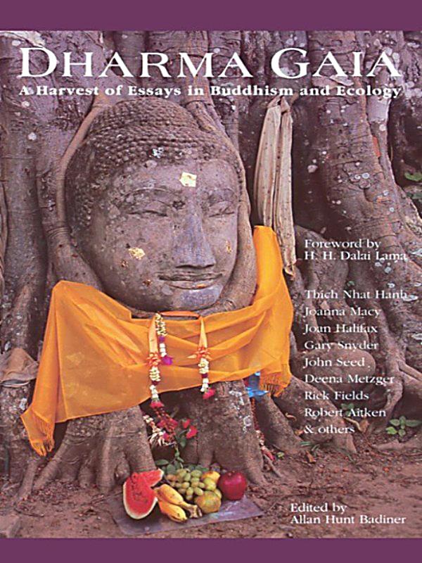 Thesis Of An Essay Buddhism Dharma Ecology Essay Gaia Harvest In Essays Written By High School Students also Essays On English Literature Buddhism Dharma Ecology Essay Gaia Harvest In Custom Paper Sample Narrative Essay Examples For High School