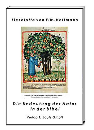 bedeutung der zahlen in der bibel bedeutung der zahlen in der bibel