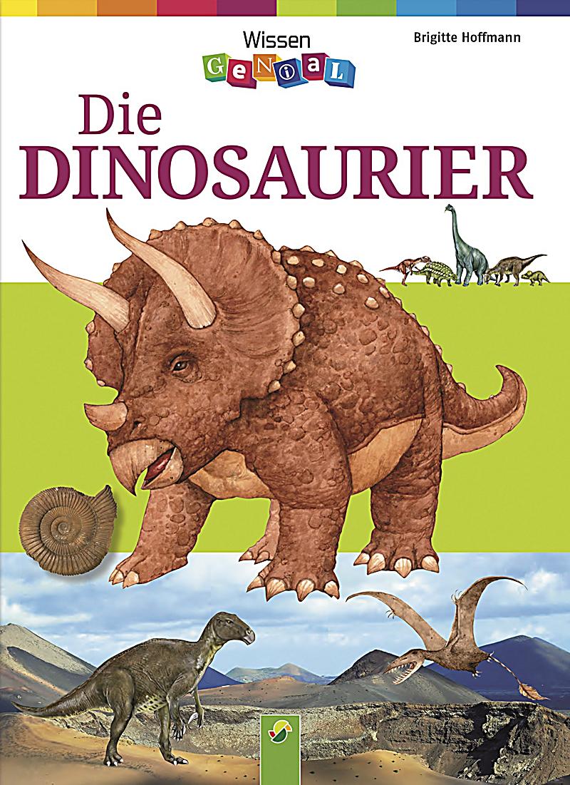ein WischundwegBuch Dinosaurier PDF Epub-Ebook