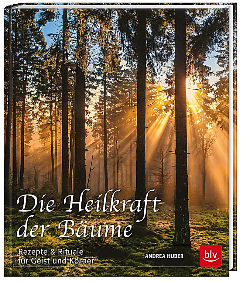 Die anregenden Präparate für die Potenz