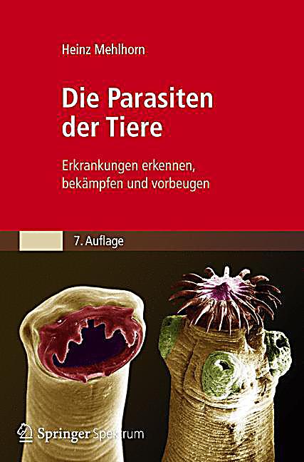 Die Würmer perepolsajut zu anderem