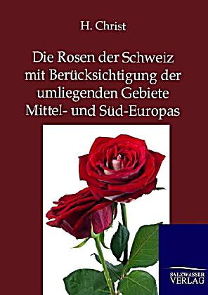 Der Hammer tora in der Königin