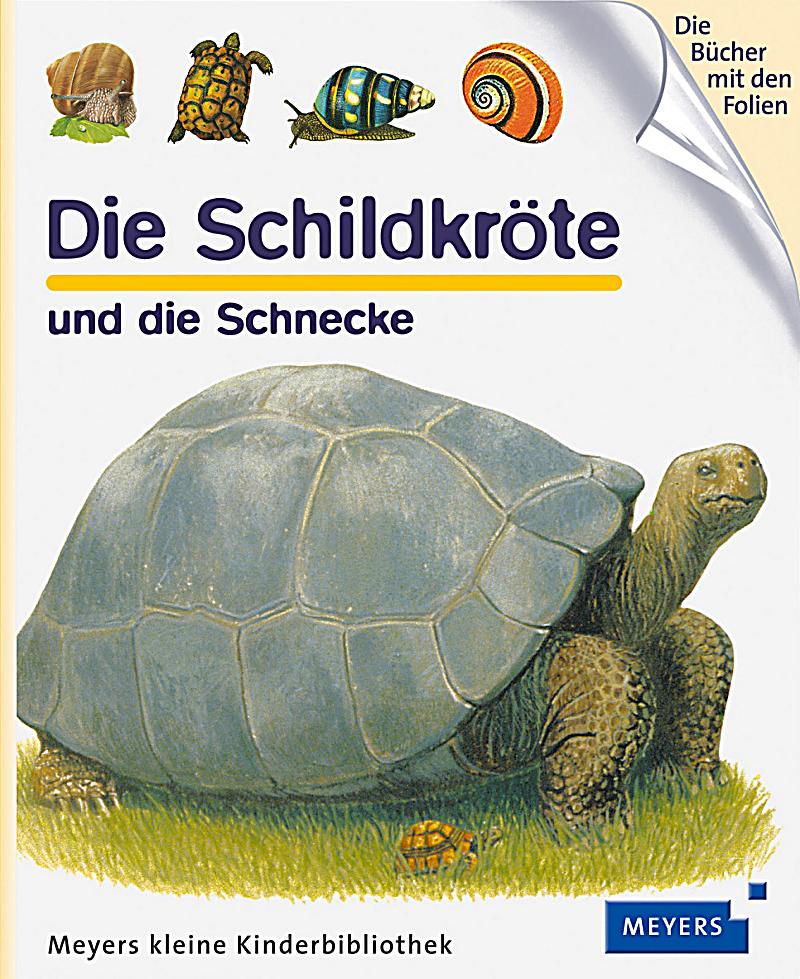Die Schildkröte und die Schnecke Buch bei Weltbild.ch ...