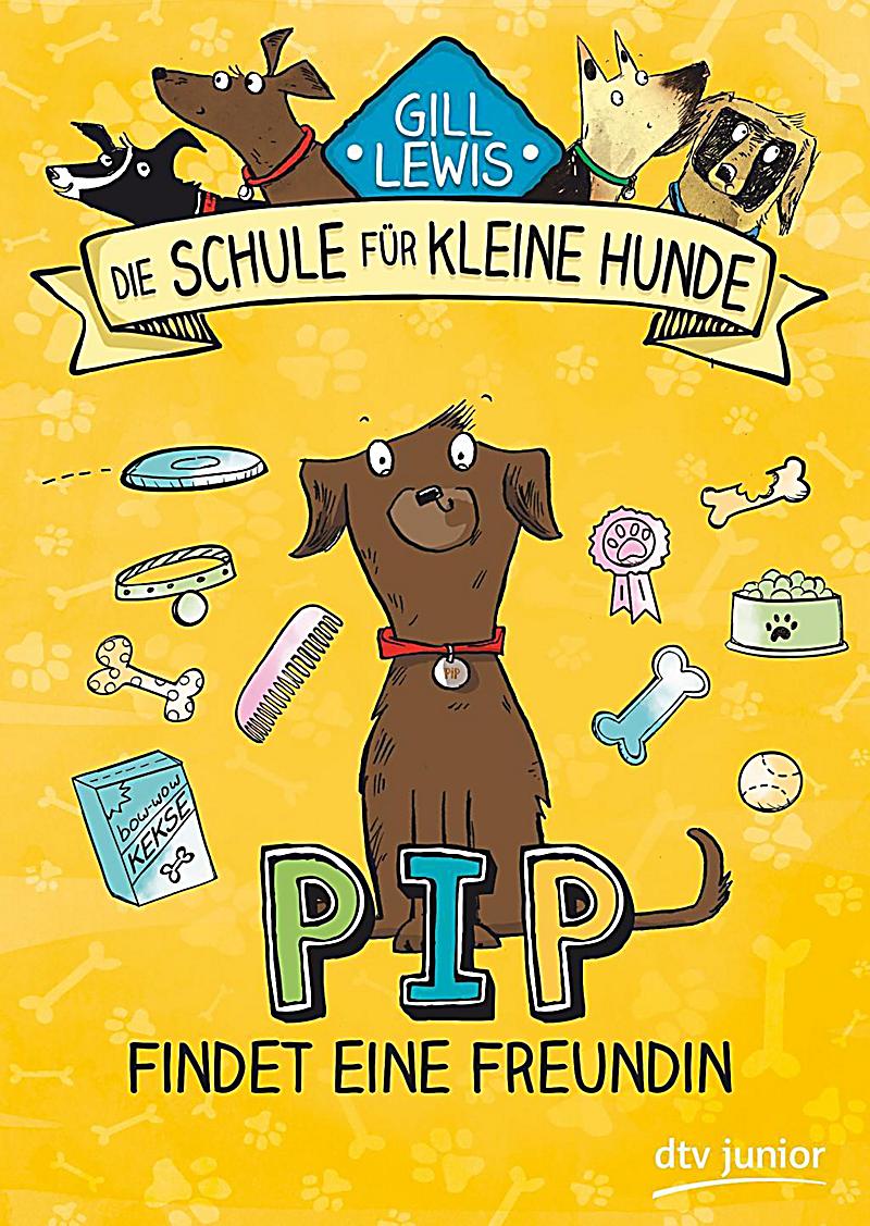 Die Schule für kleine Hunde Pip findet eine Freundin Buch