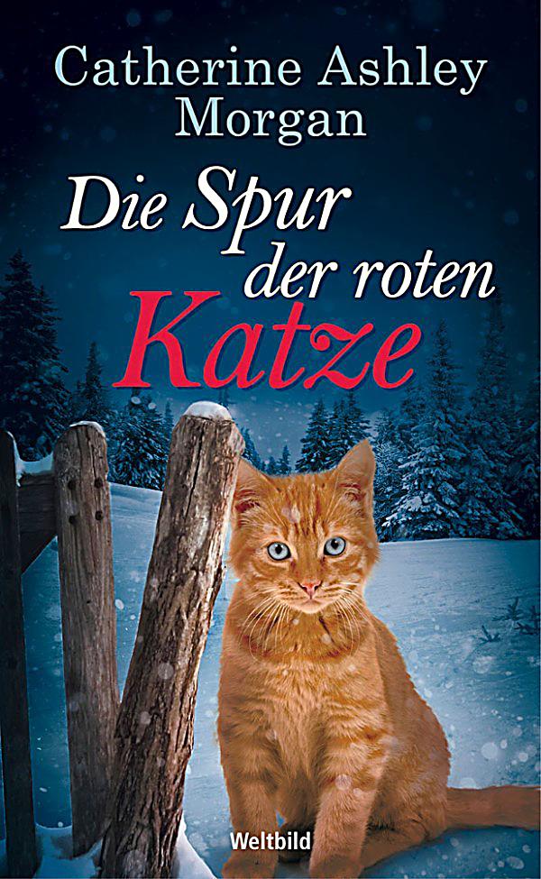 Wie mit Hilfe der Soda, die Sommersprossen zu entfernen