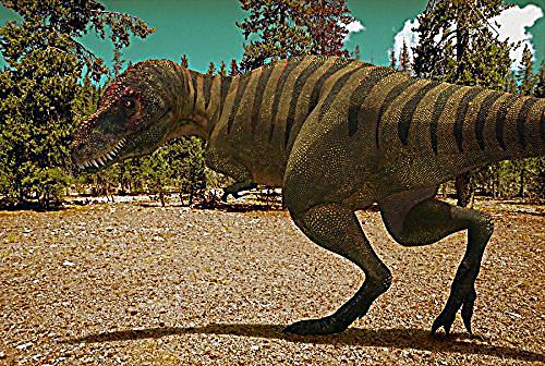 Dinosaurier  Im Reich der Giganten DVD bei Weltbild.de bestellen