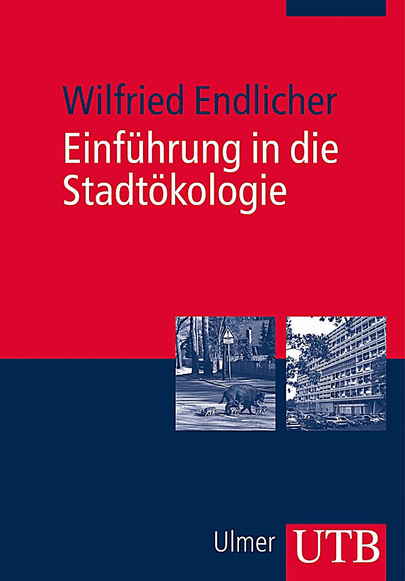 view Schutzian Social Science