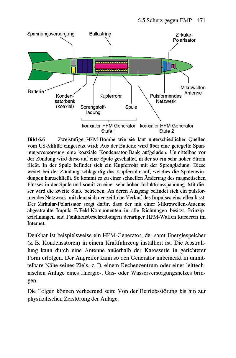 ontogeny