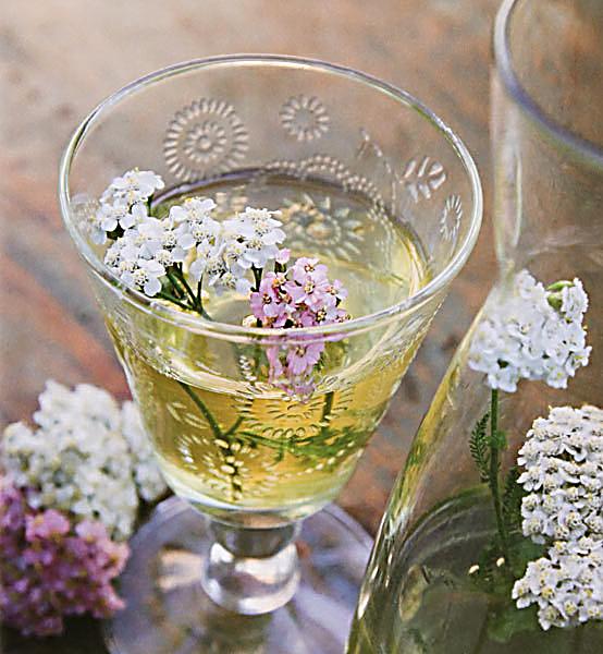 Essbare Blüten Buch jetzt bei Weltbild.de online bestellen