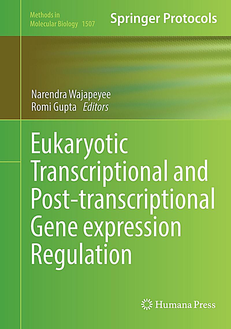 eukaryotic-transcriptional-and-post-transcriptional-gene-expression