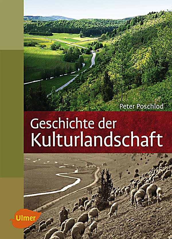 ebook management von informationssystemen analyse bewertung auswahl bereitstellung und einführung